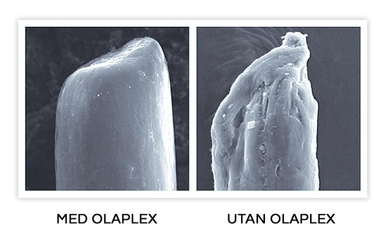 olaplex_zoom.jpg olaplex i stockholm